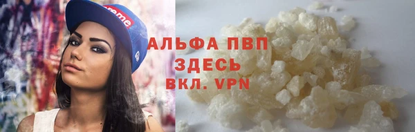 PSILOCYBIN Козловка
