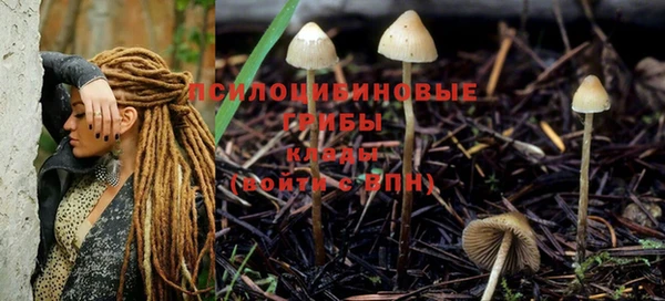 МДПВ Козельск