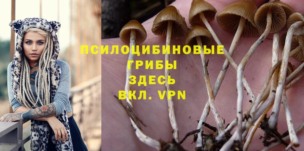 PSILOCYBIN Козловка