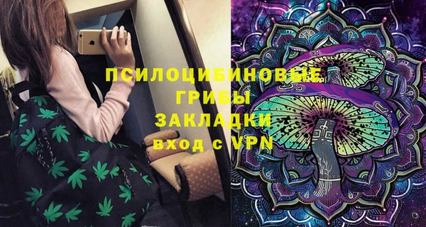 PSILOCYBIN Козловка