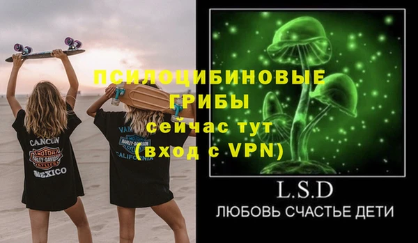 соль ск Кодинск
