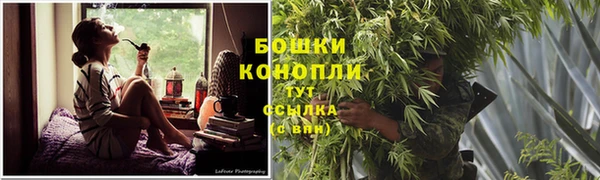 PSILOCYBIN Козловка