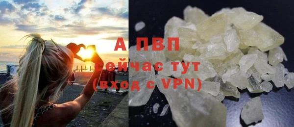 сатива Ельня